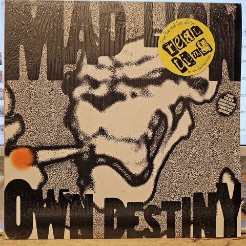 Mad Lion – Own Destiny LP PLAK