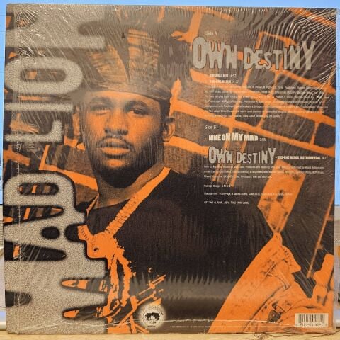 Mad Lion – Own Destiny LP PLAK