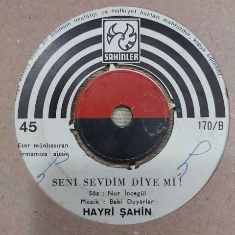 HAYRİ ŞAHİN - SENİ SEVDİM DİYE Mİ 45LİK PLAK