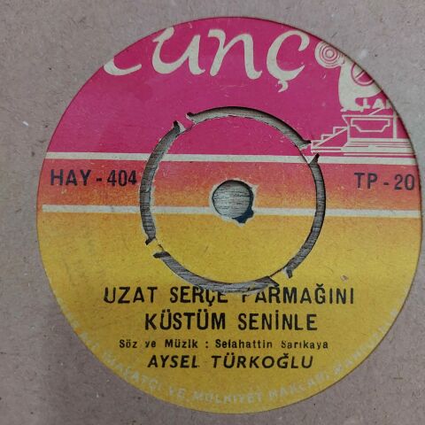 AYSEL TÜRKOĞLU - BEKLİYECEĞİM 45LİK PLAK