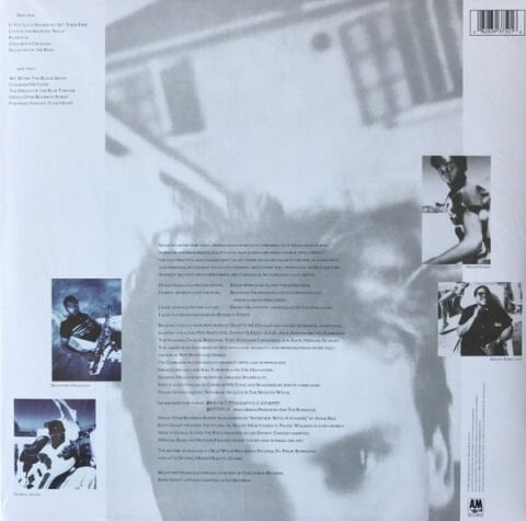 Sting – The Dream Of The Blue Turtles LP PLAK