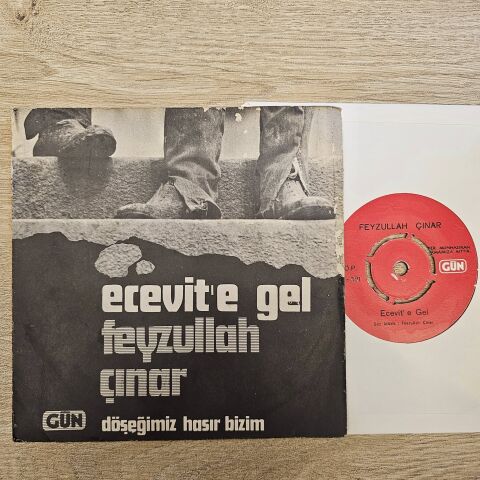 FEYZULLAH ÇINAR - DÖŞEĞİMİZ HASIR BİZİM 45LİK PLAK