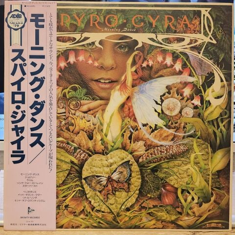 Spyro Gyra – Morning Dance LP PLAK