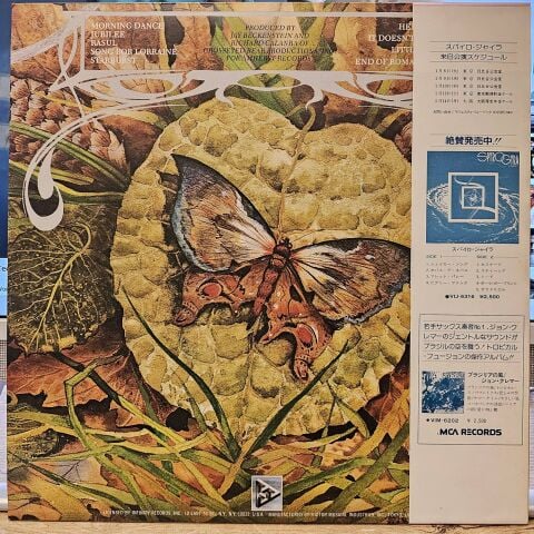 Spyro Gyra – Morning Dance LP PLAK