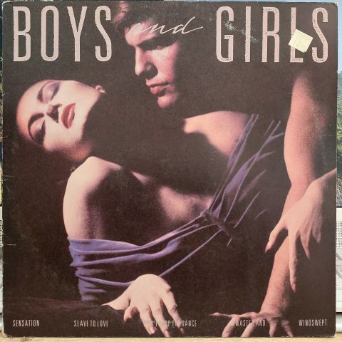 BRYAN FERRY - BOYS AND GİRLS LP PLAK