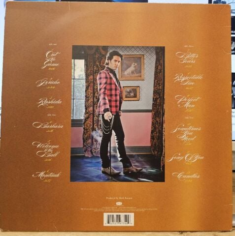 Rufus Wainwright – Out Of The Game LP PLAK