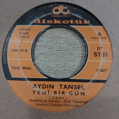 AYDIN TANSEL - GÜNLER AYLAR 45LİK PLAK