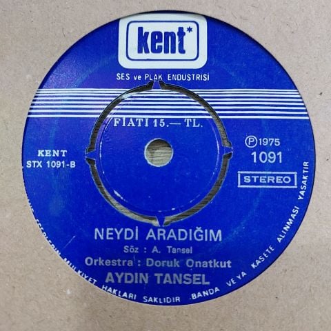 AYDIN TANSEL - SEVGİYE ÖZLEM 45LİK PLAK