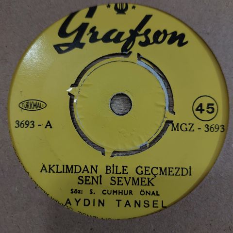 AYDIN TANSEL - HATIRLAMAK İSTERDİM SENİ 45LİK PLAK