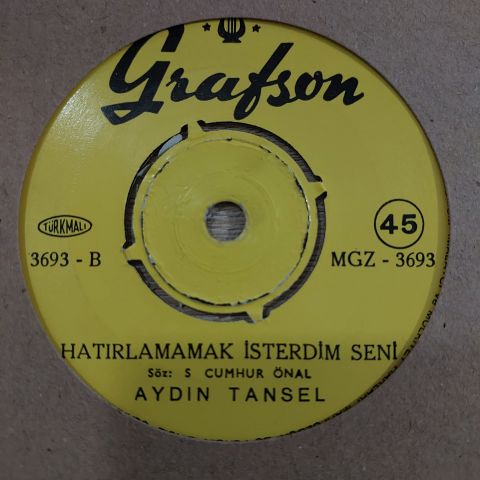 AYDIN TANSEL - HATIRLAMAK İSTERDİM SENİ 45LİK PLAK
