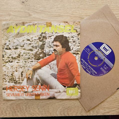 AYDIN TANSEL - HERŞEY SENİN 45LİK PLAK
