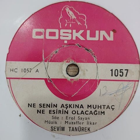 SEVİM TANÜREK - AŞKIN SON AKŞAMI 45LİK PLAK