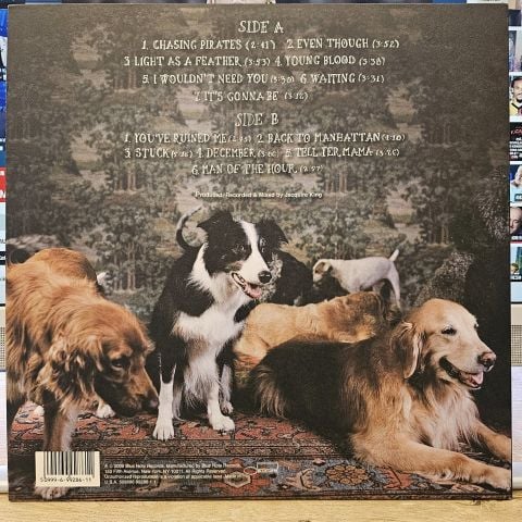 Norah Jones – The Fall LP PLAK