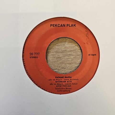 Ayse Pekcan – Güzel Oglan Yaramaz Kiz / Kalmadi Dostlar - Cicekler Acti 45LİK PLAK