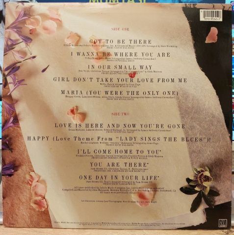 Michael Jackson – The Great Love Songs Of Michael Jackson LP PLAK