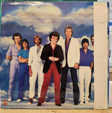 Air Supply – The One That You Love LP PLAK
