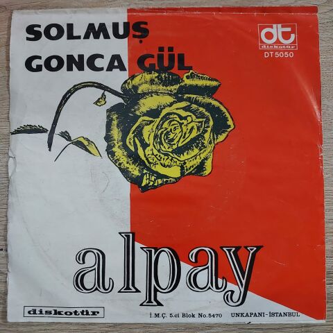 ALPAY - HEM OKUDUM HEM DE YAZDIM 45LİK PLAK