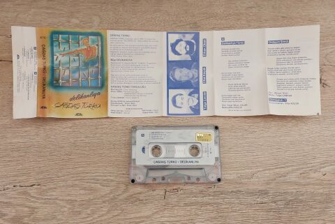 ÇAĞDAŞ TÜRKÜ - DELİKANLIYA KASET