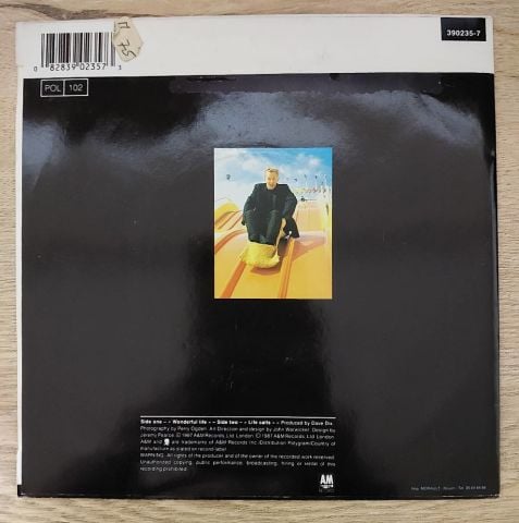 Black – Wonderful Life 45LİK PLAK