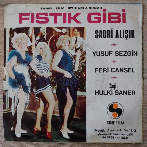 Erol Büyükburç – Fıstık Gibi / Şiir Gibi Bir Kızdı O 45LİK PLAK