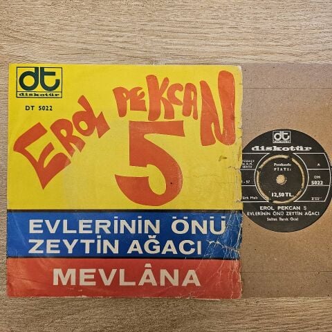 Erol Pekcan 5 – Evlerin Önü Zeytin Ağacı 45LİK PLAK