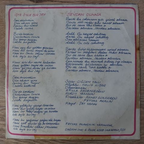 Erol Evgin – İşte Öyle Bir Şey / Sevdan Olmasa 45LİK PLAK