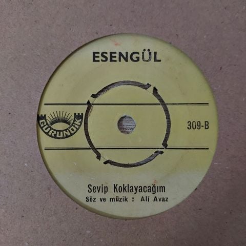 Esengül – Senden Işık Bekledim / Sevip Koklayacağım 45LİK PLAK