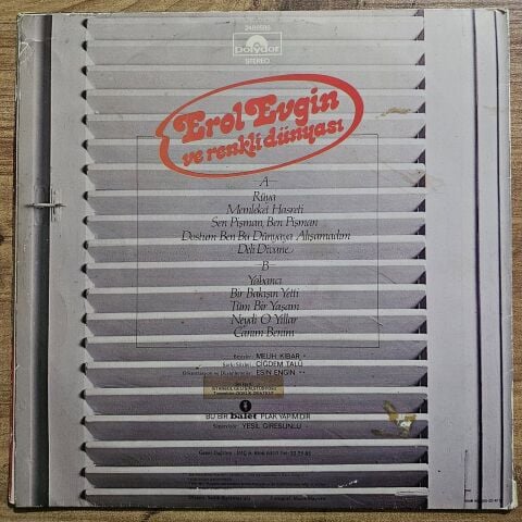 Erol Evgin – Ve Renkli Dünyası LP PLAK