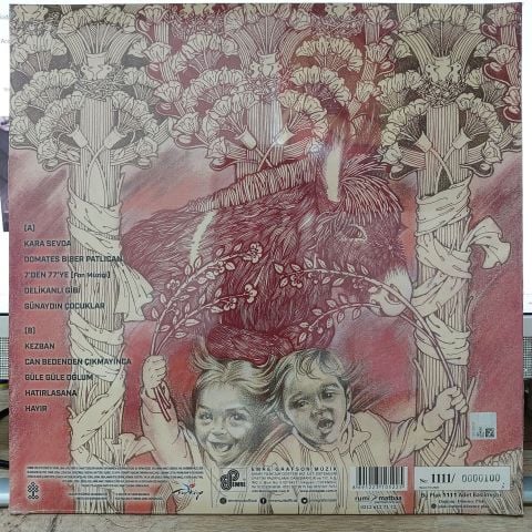 BARIŞ MANÇO - DARISI BAŞINIZA PİCTURE DİSC LP PLAK