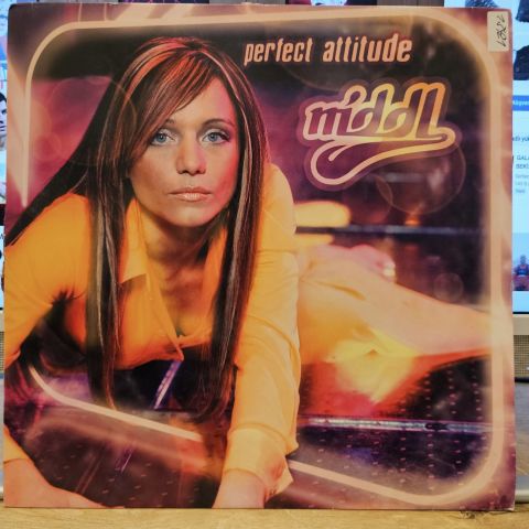 Niddl – Perfect Attitude LP PLAK