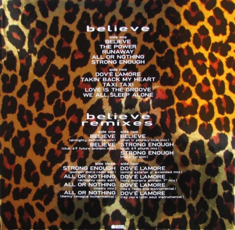 Cher – Believe LP PLAK ( BOX SET )