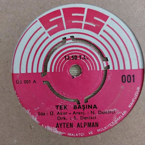 Ayten Alpman – Tek Başına / Sevince Her Şey Başka 45LİK PLAK