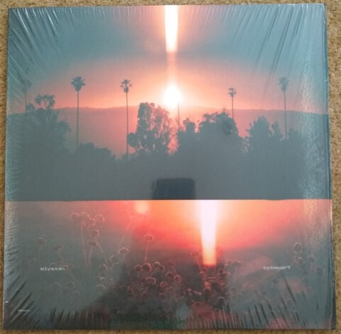 Tstewart – Elysian LP PLAK