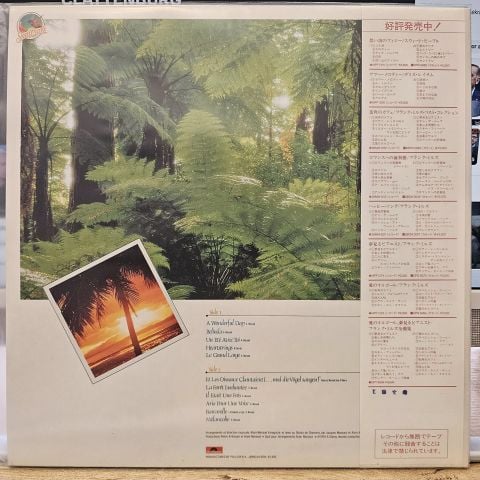 Sweet People – A Wonderful Day LP PLAK