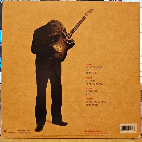 Steve Winwood – Nine Lives LP PLAK