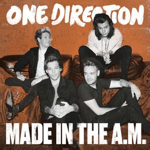 One Direction – Made In The A.M. LP PLAK