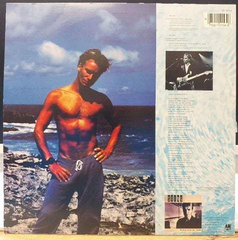 Sting – Love Is The Seventh Wave (New Mix) LP PLAK
