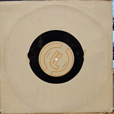 Partycheckerz – Baby I Love Your Way LP PLAK