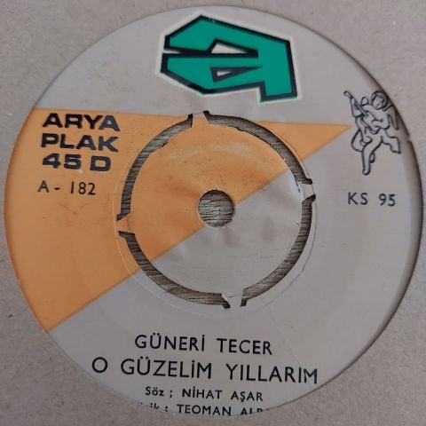 GÜNERİ TECER - BİR YANGININ KÜLÜNÜ YENİDEN YAKIP GEÇTİN 45LİK PLAK