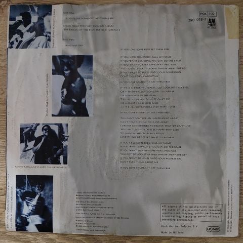 Sting – If You Love Somebody Set Them Free 45LİK PLAK