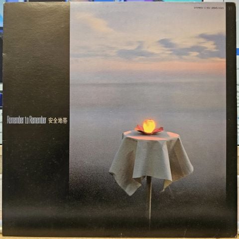 Remember To Remember LP PLAK