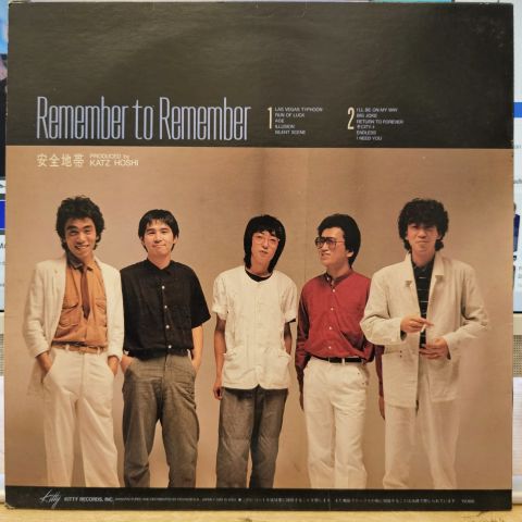 Remember To Remember LP PLAK