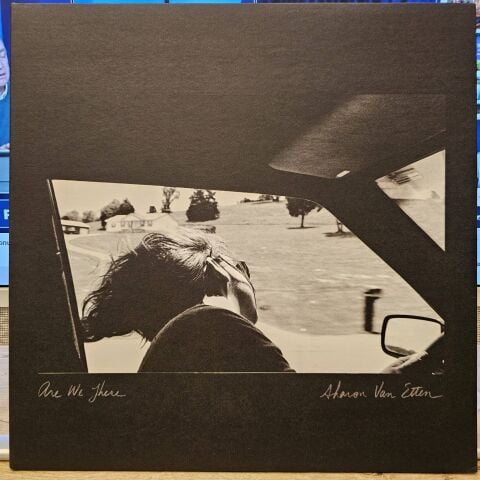 Sharon Van Etten – Are We There LP PLAK