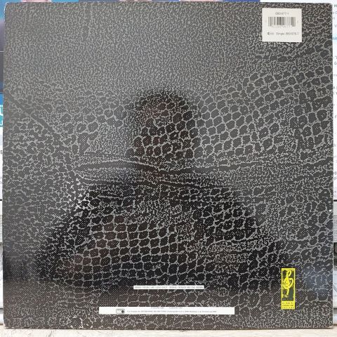 Double Trouble + Rebel MC – Just Keep Rockin LP PLAK