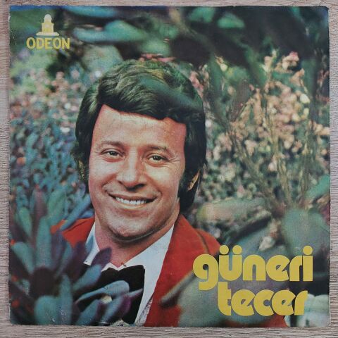 GÜNERİ TECER - HANGİ RÜZGAR ATTI SENİ 45LİK PLAK
