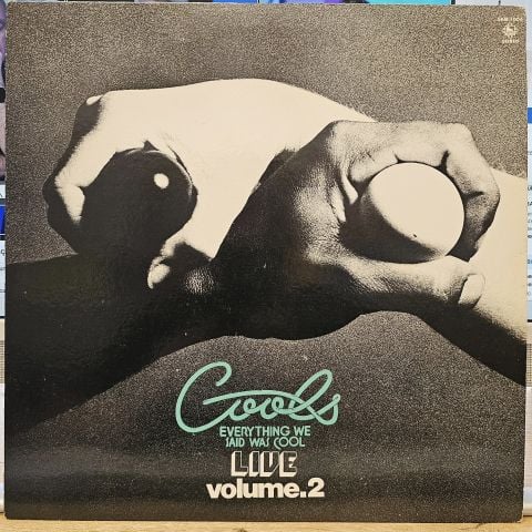 EVERYTHING SAID WAS COOL VOLUME2 LP PLAK