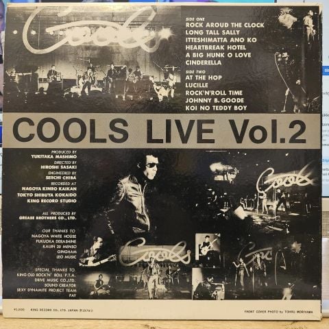 EVERYTHING SAID WAS COOL VOLUME2 LP PLAK