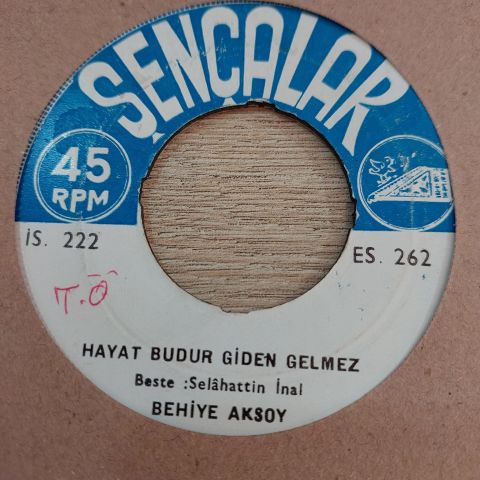 BEHİYE AKSOY - HAYAT BUDUR GİDEN GELMEZ 45LİK PLAK