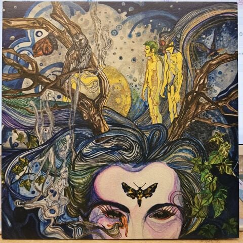 Arabs In Aspic – Pictures In A Dream LP PLAK