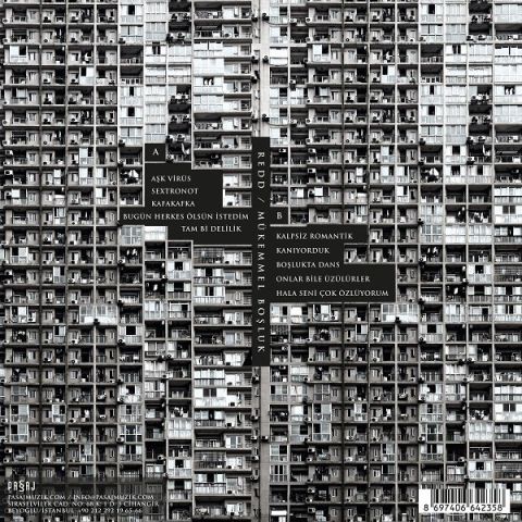 REDD - MÜKEMMEL BOŞLUK LP PLAK